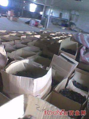 惠州專業二手設備回收 高價收購，信譽保障